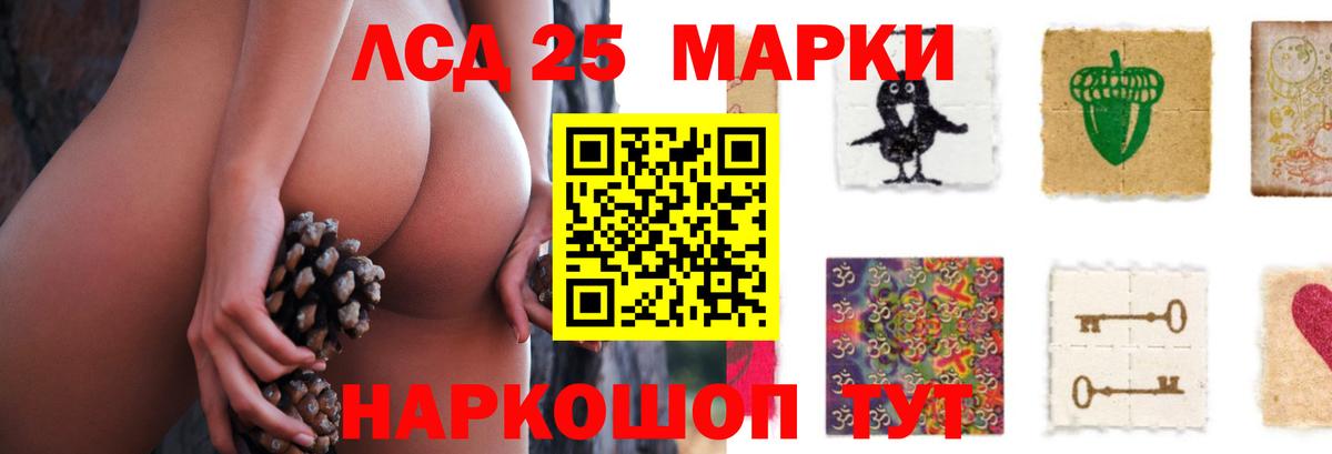 hydra как войти  LSD-25 экстази ecstasy  Вход с VPN  Борзя  Лсд 25 экстази кислота 