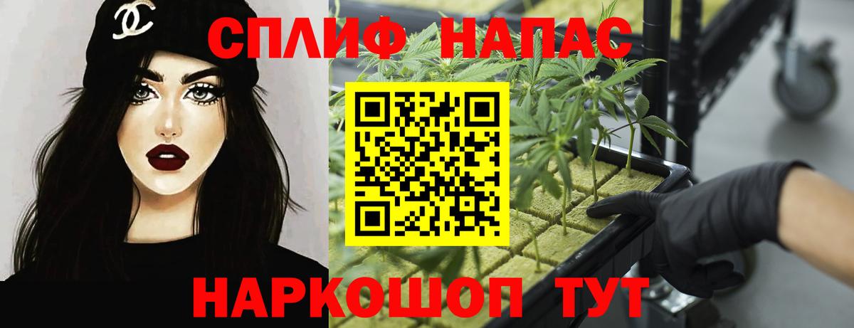Конопля ГИДРОПОН Борзя